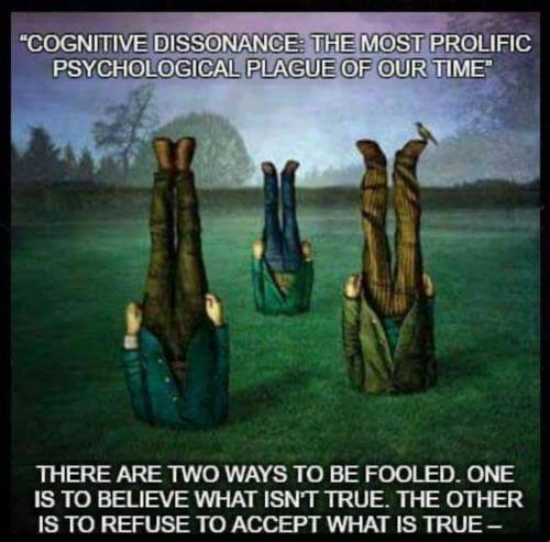 IMG_20210803_125328_085