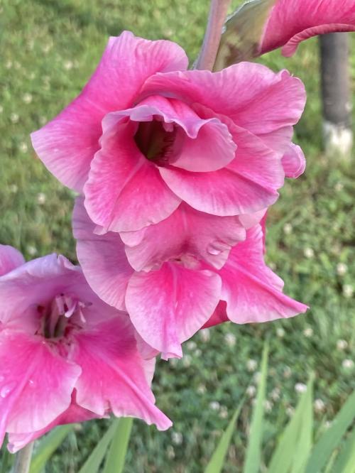 4D288174-418A-4DDD-8D9C-DEE253D54929