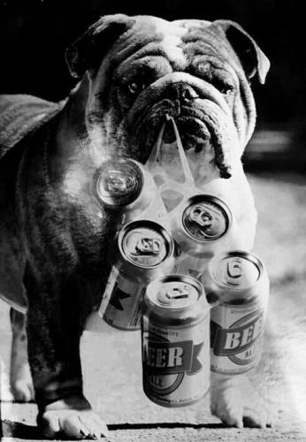 tumblr_c22a3d1e5faa52fb713a747a7cce3bf7_edacc275_500