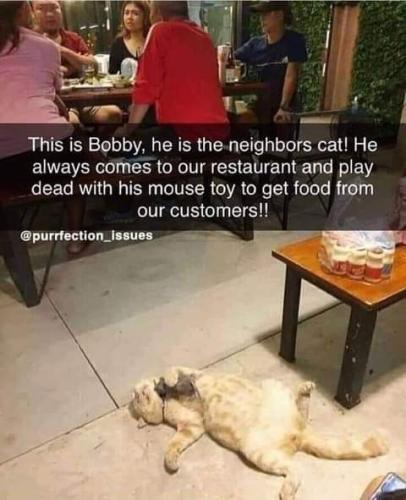 FB_IMG_1628052785994