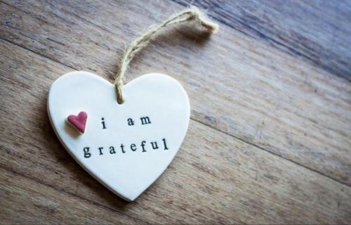 2021/08/fc17dd7acc60fe8f2b140f597f9723d5