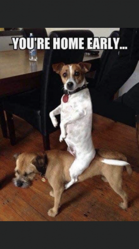 17:02:14 GMT-0500 (CDT).image