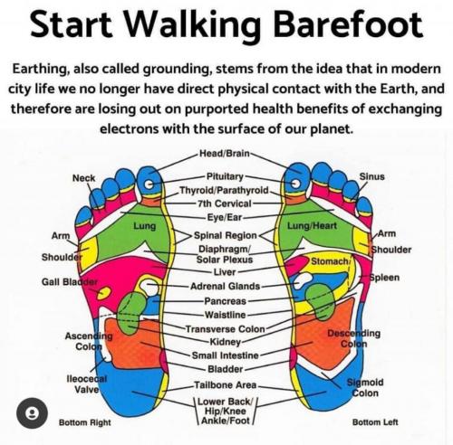 IMG_20210809_200822_099