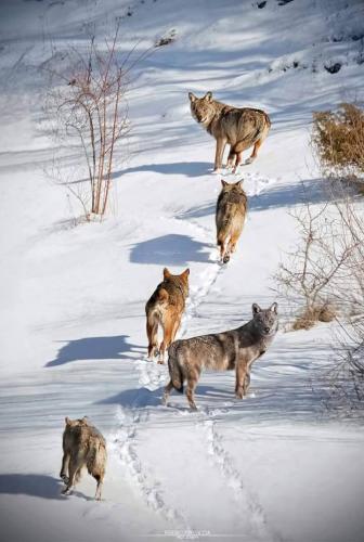 tumblr_d52162c10337d128e5b294c4d9cdb966_c791b332_1280