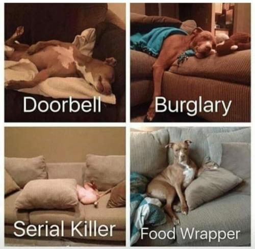 230843524_10158709358512670_6085839730253972419_n