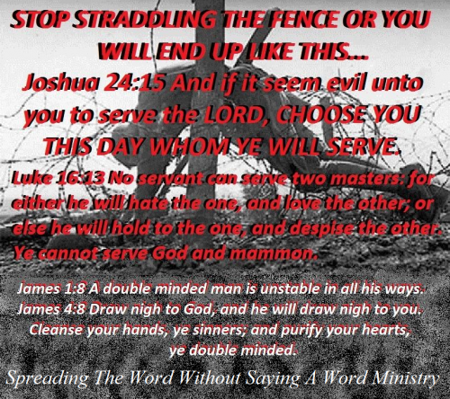 239456127_587694015566722_4643446331379675418_n