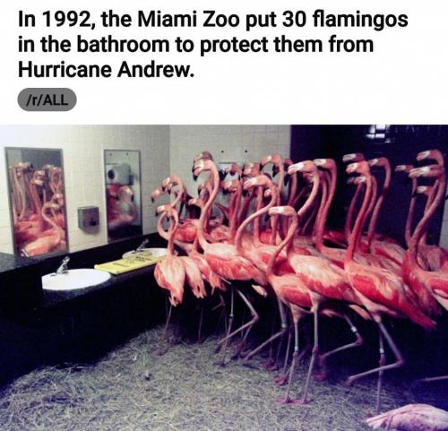 Screenshot_20210815-143056_Reddit