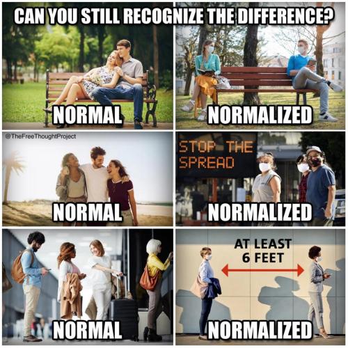 236995327_2603942753246256_4258806984015239739_n