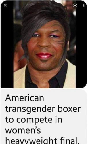 trans boxer tyson
