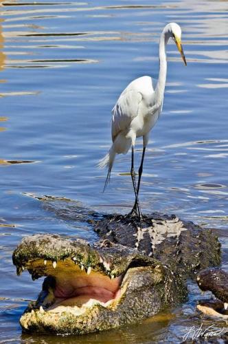 220609890_374161654057674_7768607324177084721_n