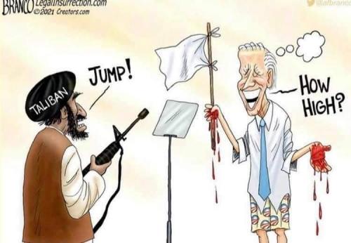 received_281938563270193