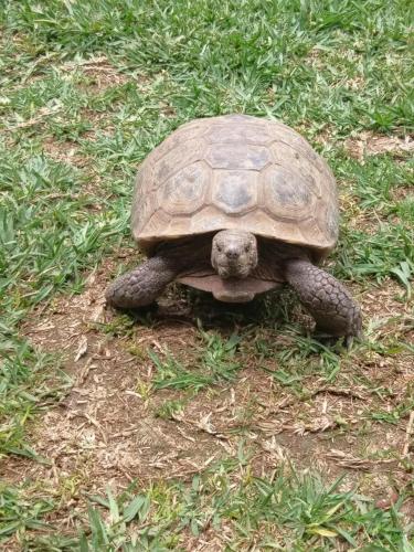 20:20:56 GMT-0700 (PDT)