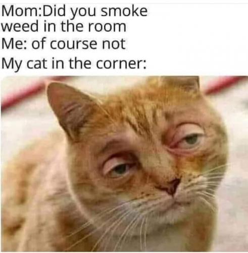 04:26:09 GMT-0500 (CDT)