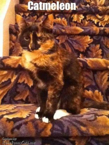 FB_IMG_1629901619071