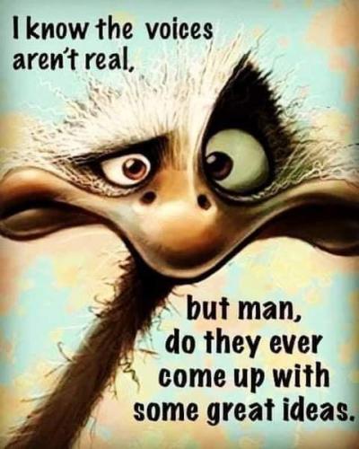 FB_IMG_1628373080326