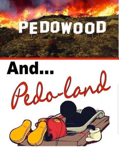 pedowood land