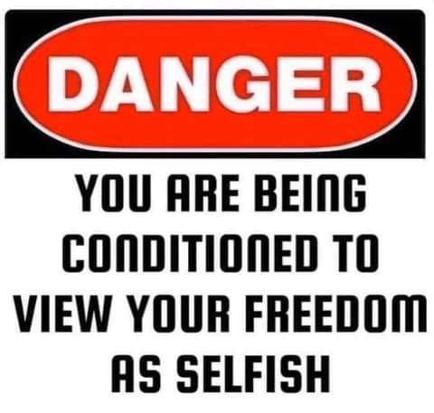 FB_IMG_1627766225600