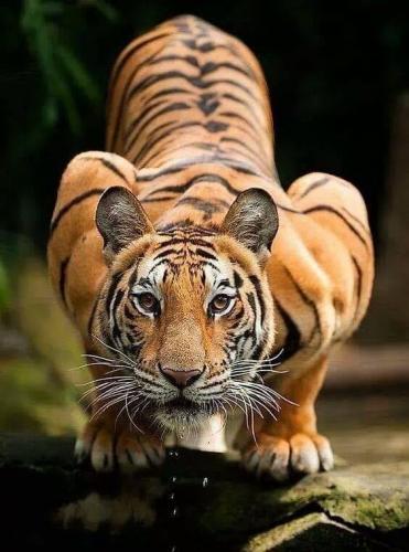 232480492_618659052447828_9007261377282355163_n