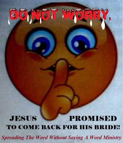 11873409_808691039230029_6253580842372620705_n