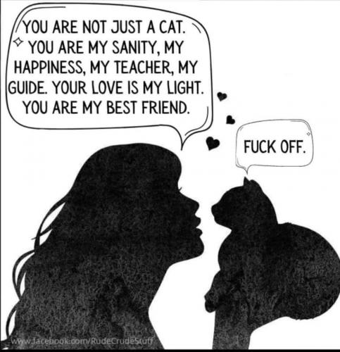 17:56:43 GMT-0700 (PDT)