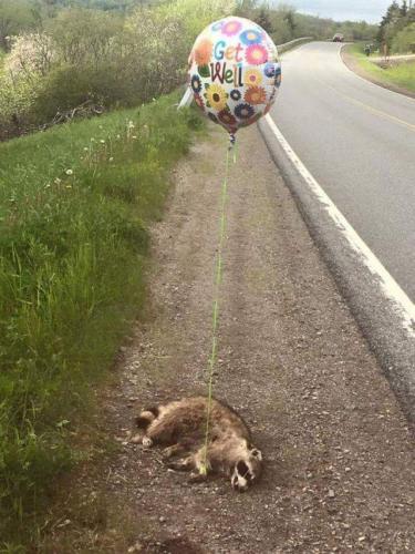 FB_IMG_1614409711714