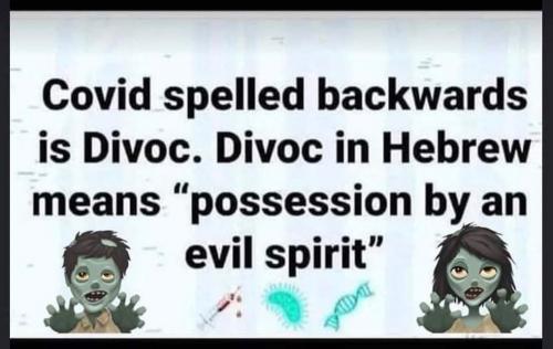 240787257_380958320300673_2950542919047296562_n