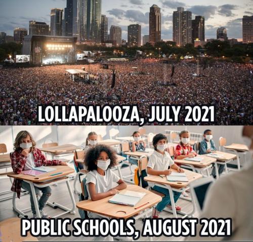 Lollapalooza vs. Schools - Covid meme