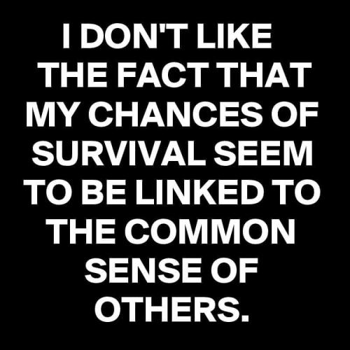 FB_IMG_1629548707905