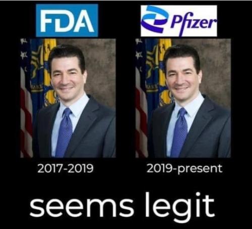 240414940_10158000140326493_716846841023471660_n