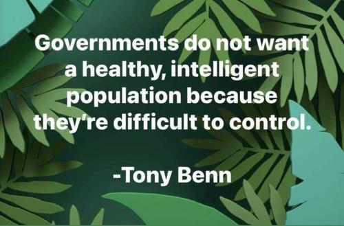 240653999_1501192423572334_6363687208504517377_n