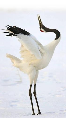 tumblr_4d1f1b88382b16f6454d560859e2afcc_9be1b494_640