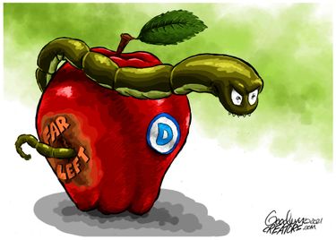 alg080321dAPC20210802114547-375x275