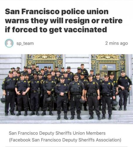 photo_2021-08-15_21-05-52