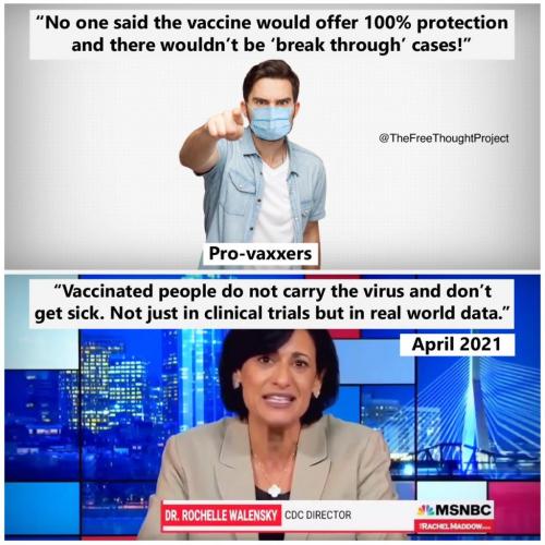 232904862_2603728606601004_7556646785943057144_n