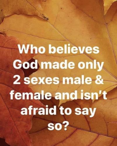 19:46:37 GMT-0500 (CDT).image