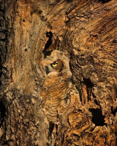 tumblr_49a796f2aca599a6129f155548a5f779_2290a75b_540