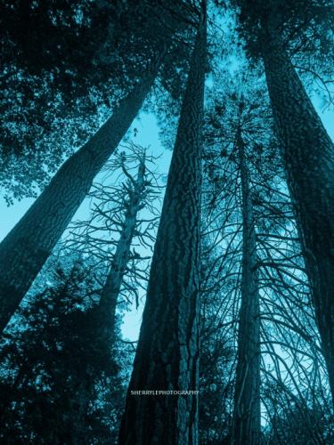 tumblr_a287c578c438cb14c5e497dc33e86d05_3a3d83ff_540