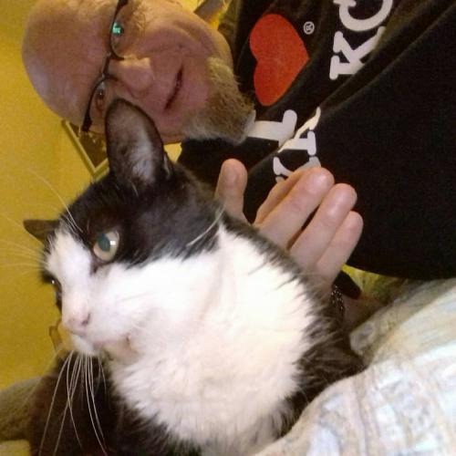 21:12:36 GMT-0400 (EDT).*