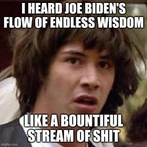 biden wisdom