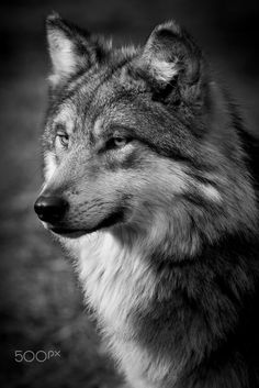 f9c98ba5e7a53c3d41924b805ef17ebb