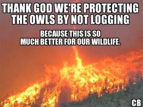 239624926_4601096726595194_4734399111680603058_n