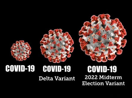 coronavirus1281