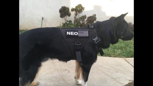 FF773A72-BBBE-405E-BFB0-E8AA7F0F3A3B