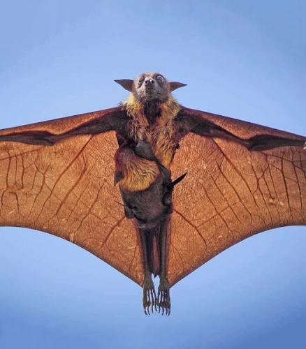 239144070_1261618327600632_407289336112989232_n