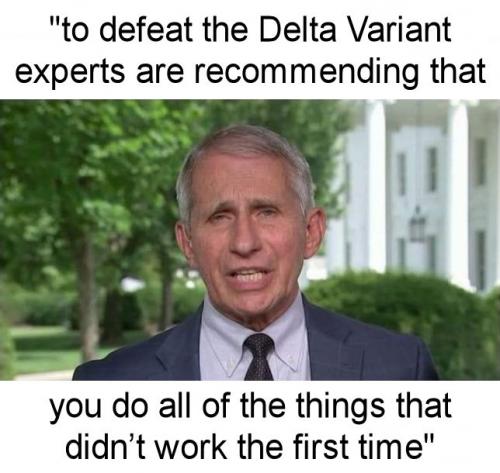 delta variant03