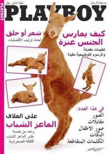 FB_IMG_1629987941566