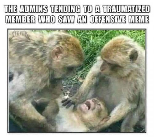 232567080_4588139004552194_283585088587660189_n