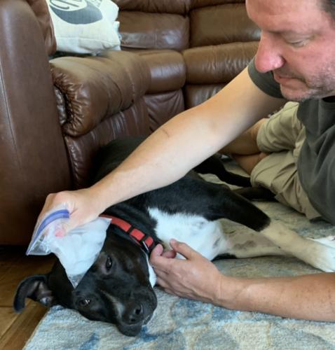 17:56:50 GMT-0400 (EDT).image