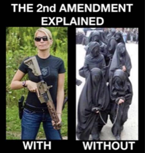 2 amendment c