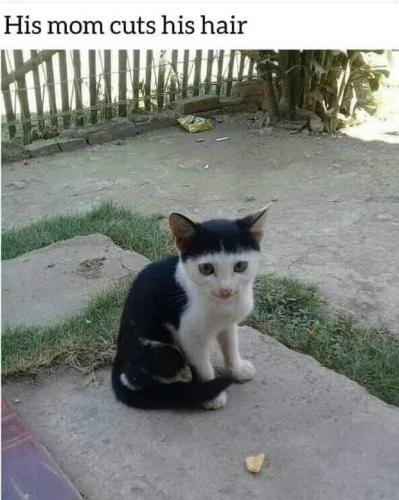 239106899_2961338524115592_6658880730534886035_n